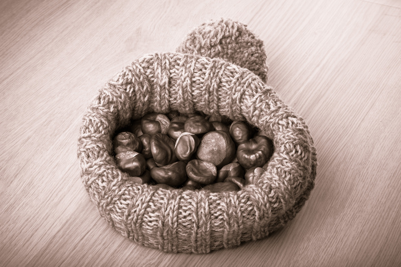 waste collection junk removal